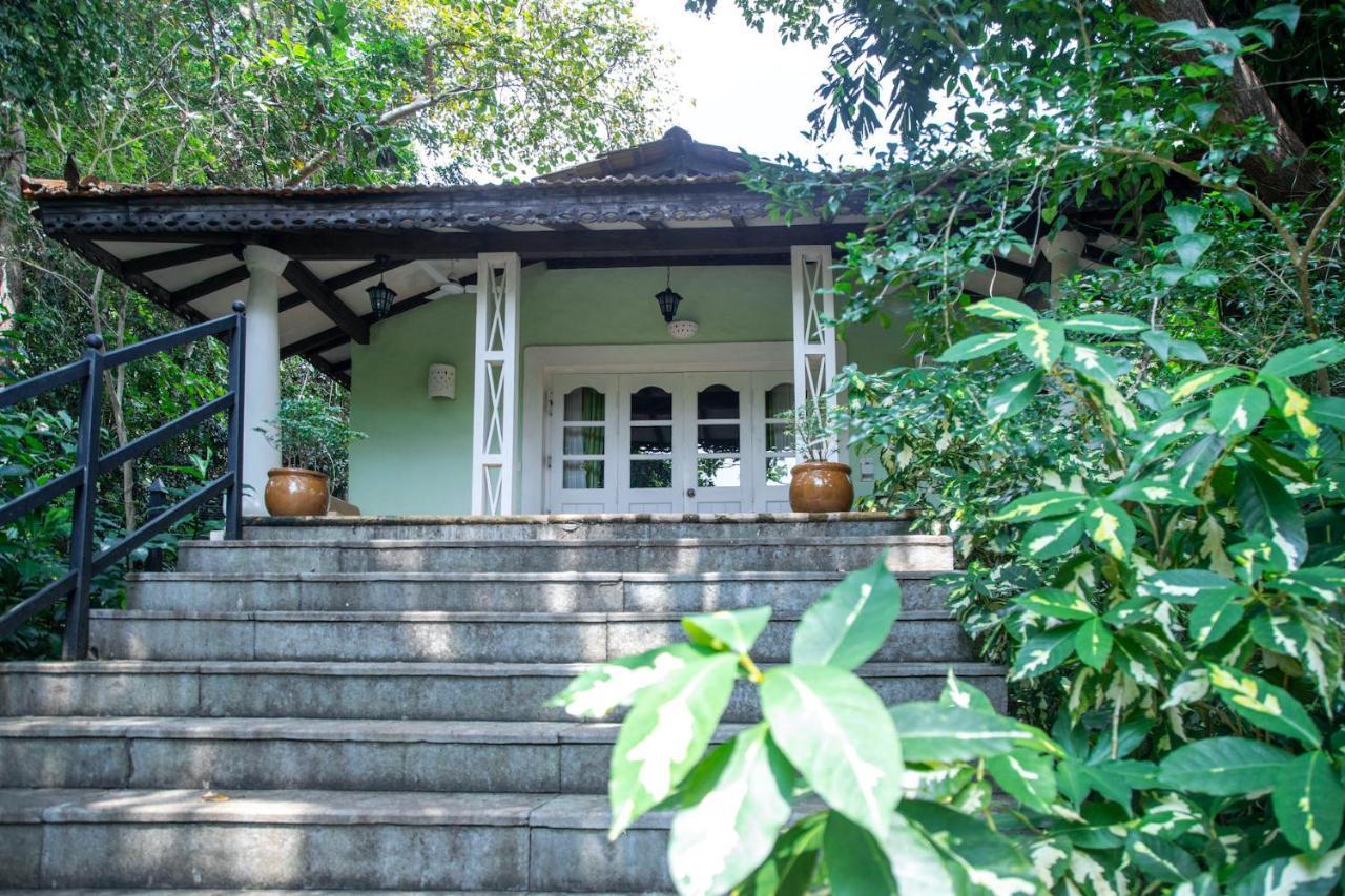 Wildflower Villas - All Villa Hotel, Family Run Candolim Exterior foto