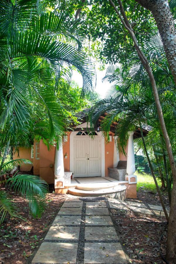 Wildflower Villas - All Villa Hotel, Family Run Candolim Exterior foto