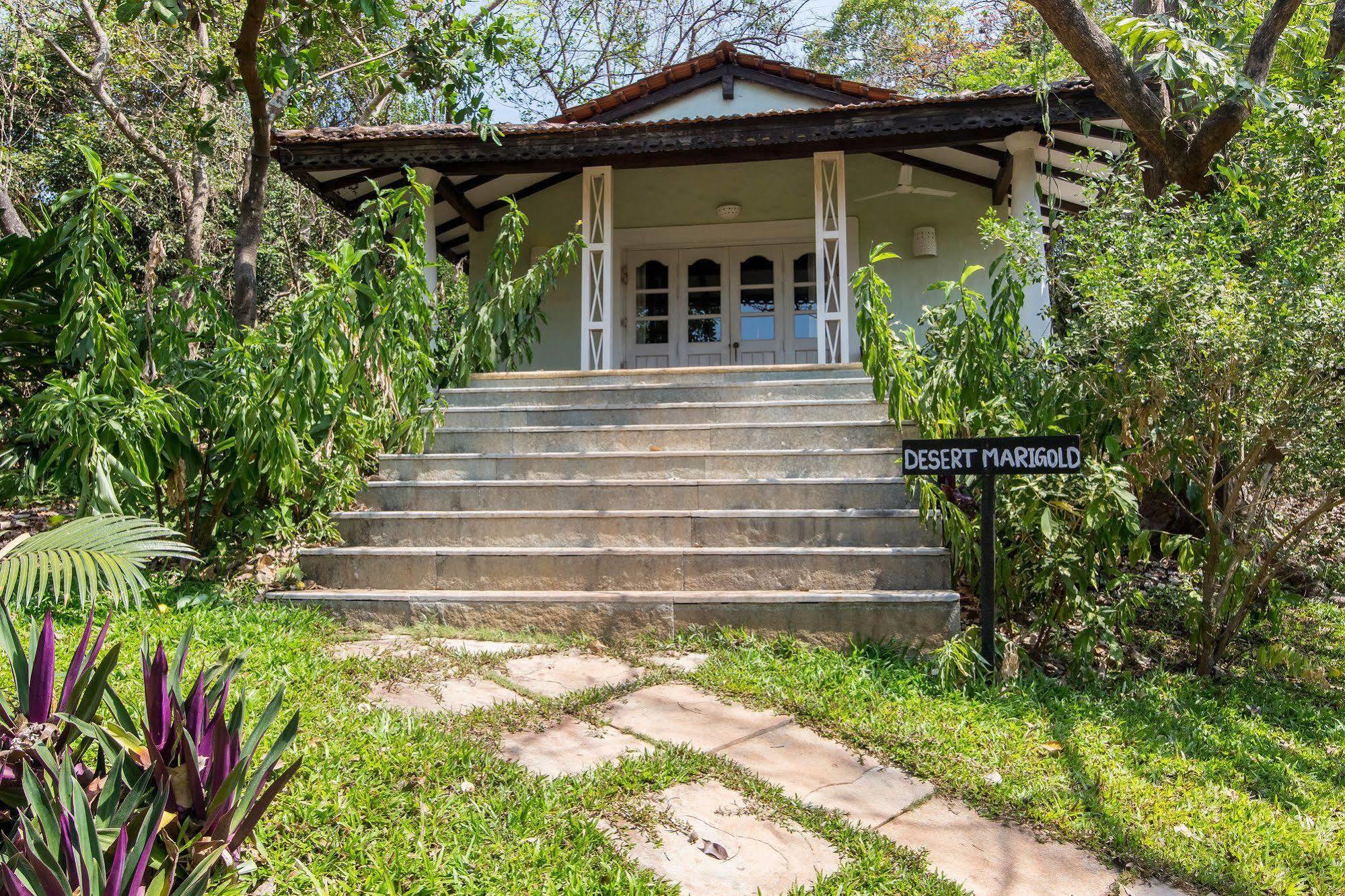 Wildflower Villas - All Villa Hotel, Family Run Candolim Exterior foto